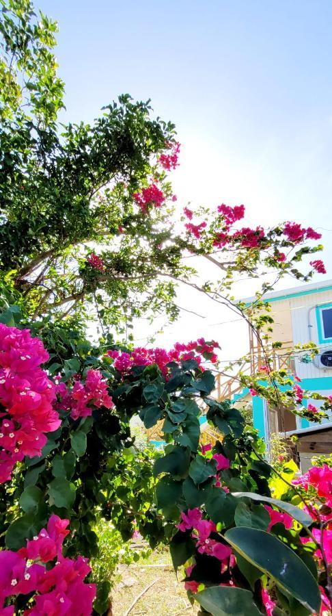 Bed and Breakfast Colorful Garden House Providencia  Exterior foto