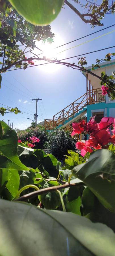 Bed and Breakfast Colorful Garden House Providencia  Exterior foto