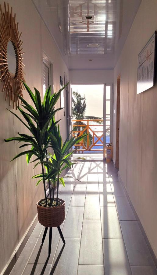 Bed and Breakfast Colorful Garden House Providencia  Exterior foto
