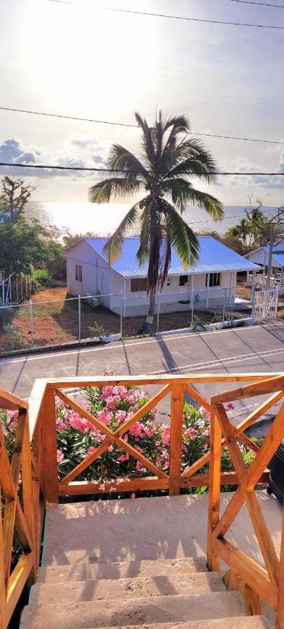 Bed and Breakfast Colorful Garden House Providencia  Exterior foto
