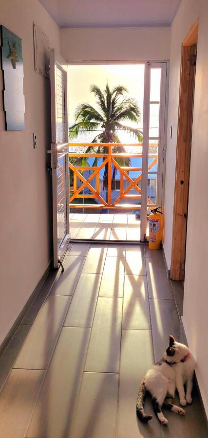 Bed and Breakfast Colorful Garden House Providencia  Exterior foto