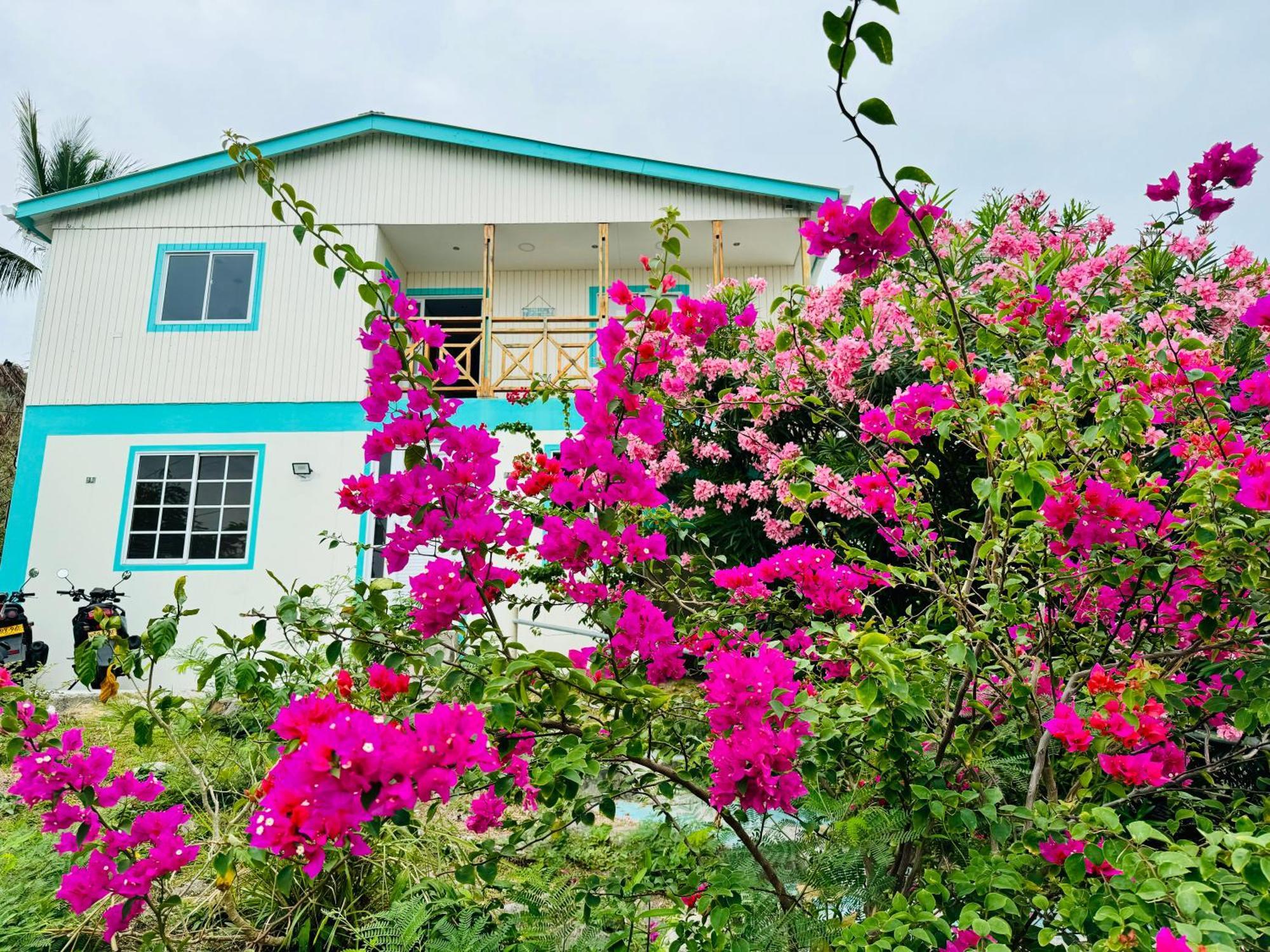 Bed and Breakfast Colorful Garden House Providencia  Exterior foto